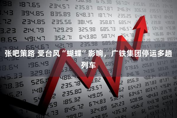 张吧策路 受台风“蝴蝶”影响，广铁集团停运多趟列车