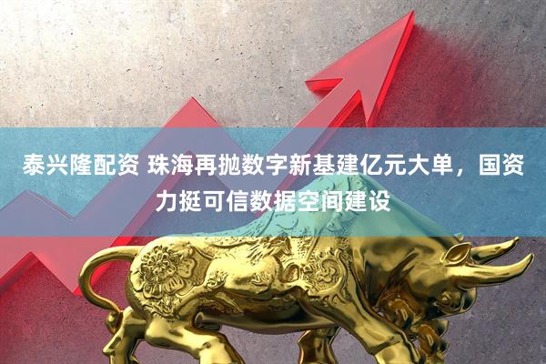泰兴隆配资 珠海再抛数字新基建亿元大单，国资力挺可信数据空间建设