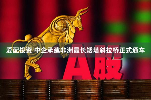 爱配投资 中企承建非洲最长矮塔斜拉桥正式通车