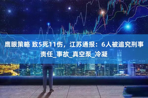 鹰眼策略 致5死11伤，江苏通报：6人被追究刑事责任_事故_真空泵_冷凝